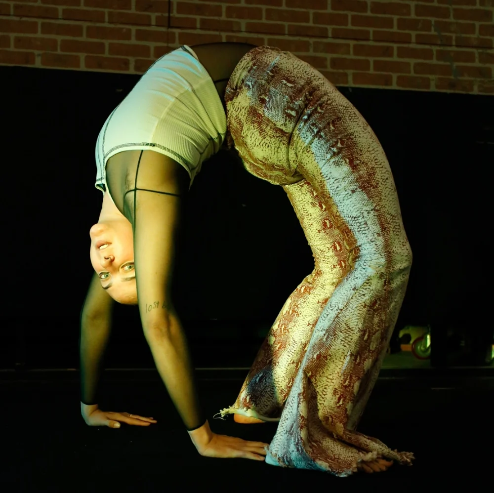 Flared Snake Print Jeans - Picture 2 of 3